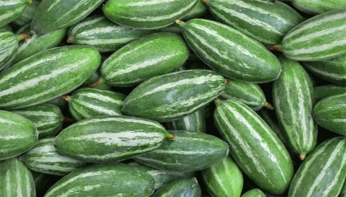 রোগ প্রতিরোধ ক্ষমতা বাড়ায় পটল