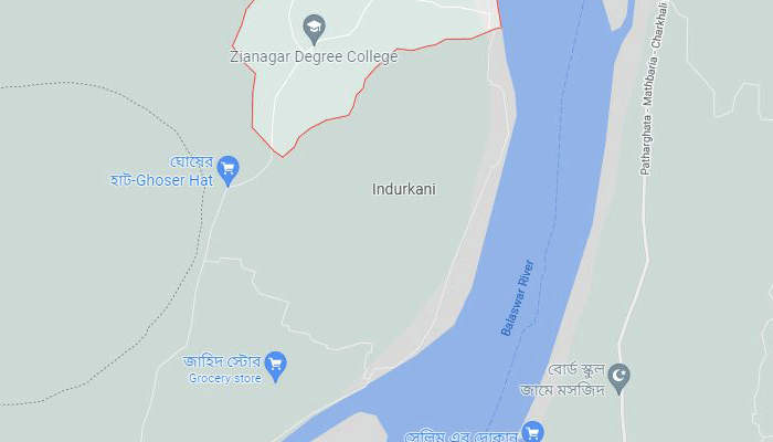 গৃহবধূকে শ্লীলতাহানির চেষ্টা, যুবককে গাছে বেঁধে পিটুনি
