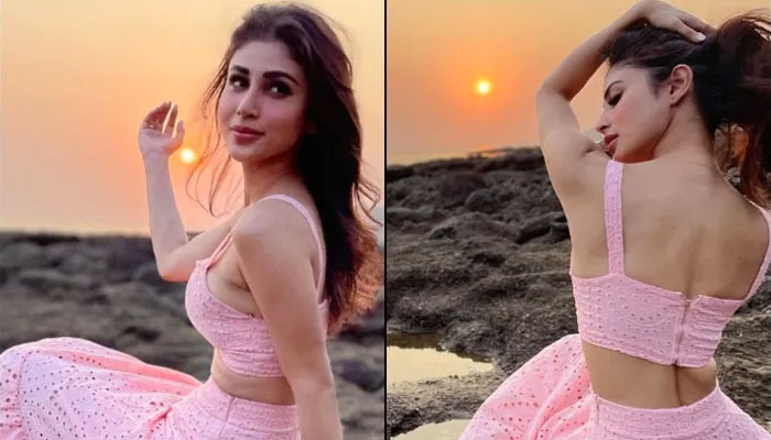পারিশ্রমিক বৈষম্য নিয়ে মুখ খুললেন মৌনি