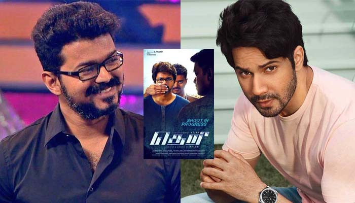 বলিউডে তামিলের 'থেরি', বিজয়ের জায়গায় বরুণ