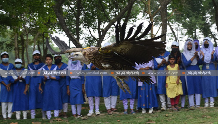 মুক্ত আকাশে ডানা মেললো ১৯ 'প্রকৃতির ঝাড়ুদার'