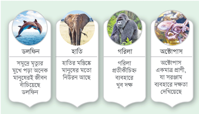 অবাক করা প্রাণী