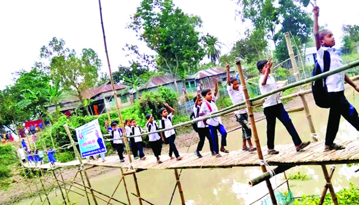 গোলাপিদের আনন্দের দিন
