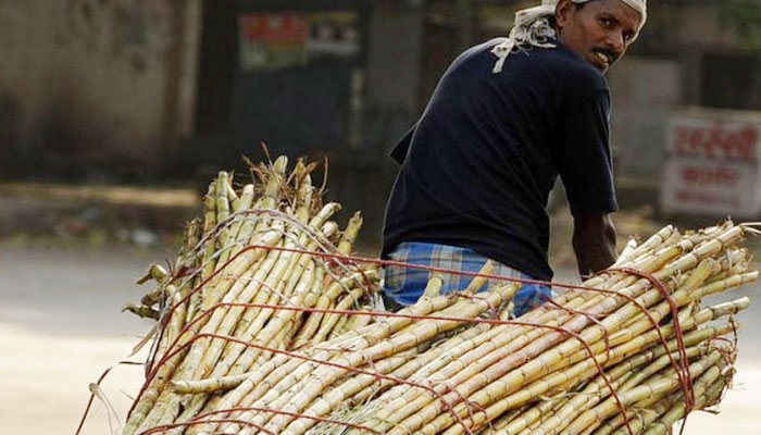৩ চিনিকলে বিদেশিদের অংশীদারিত্ব চায় সরকার