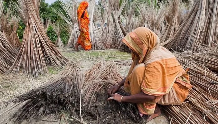 ফেলে দেয়া যে পণ্যগুলো ডলার আনছে বাংলাদেশে
