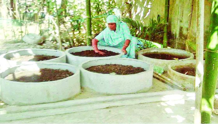 ডলির স্বাবলম্বী হওয়ার গল্প