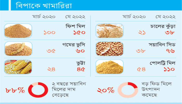 প্রাণিখাদ্যের দামও বাড়ছে লাফিয়ে লাফিয়ে