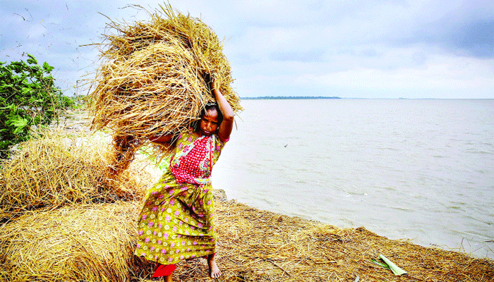 উপকূলীয় নারী শ্রমিকদের মজুরি বৈষম্য