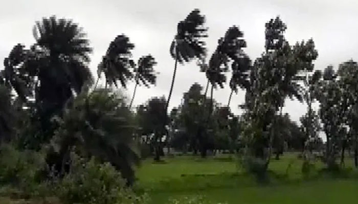 ঘূর্ণিঝড় আসানি: ভারতের অন্ধ্র প্রদেশে রেড অ্যালার্ট জারি