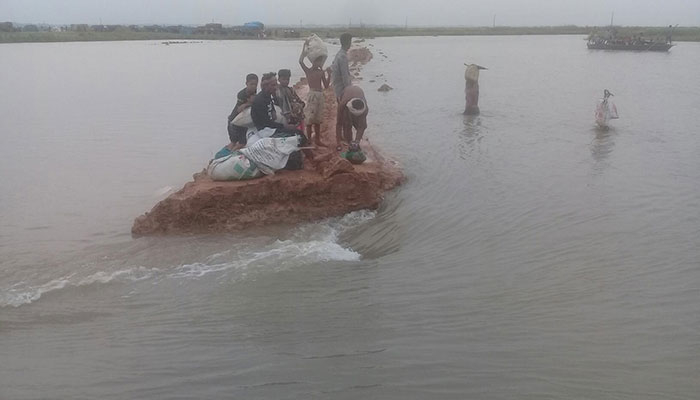 পানি বেড়ে ভাঙল পুনর্ভবার বাঁধ, বিপাকে গোমস্তাপুরের কৃষক