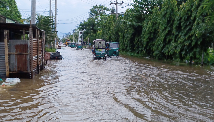 রাত হলেই সাপ ও ডাকাত আতঙ্ক