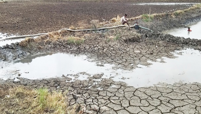তাপদাহে মরছে ঘেরের মাছ