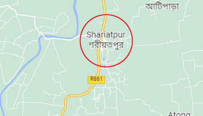 চিতলিয়ায় কৃষককে কুপিয়ে জখম