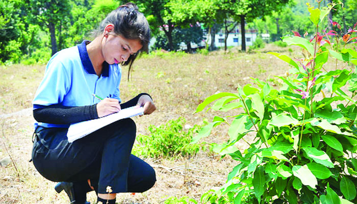 কৃষি নিয়ে পড়াশোনা