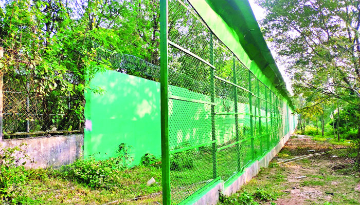 প্রাণী থাকবে উন্মুক্ত দর্শনার্থী খাঁচায়