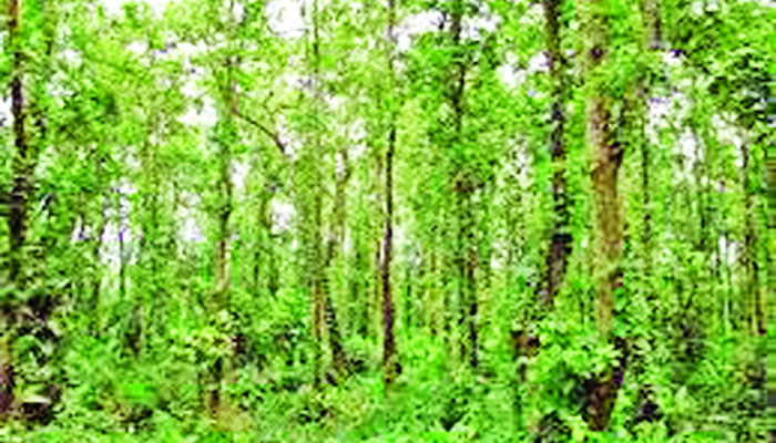 মধুপুরের জীববৈচিত্র্য
