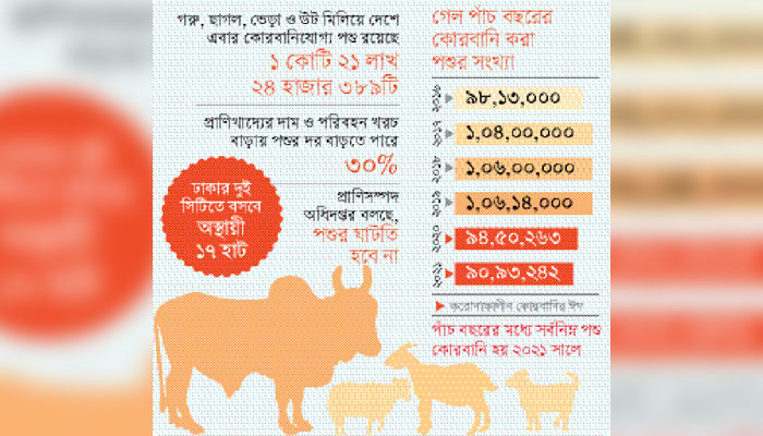 পশুহাটে মিলবে না অঙ্ক
