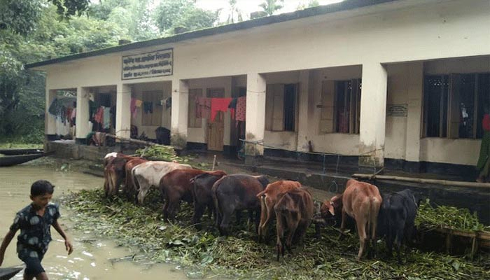 'বন্যায় ক্ষতিগ্রস্ত শিক্ষাপ্রতিষ্ঠান সংস্কারে বরাদ্দ বাড়াতে হবে'