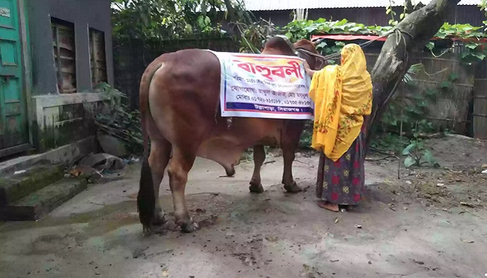 ‘বাহুবলী’র দাম ১২ লাখ টাকা