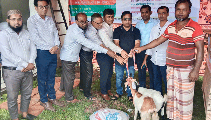 কাঁঠালিয়ায় ছাগল বিতরণ