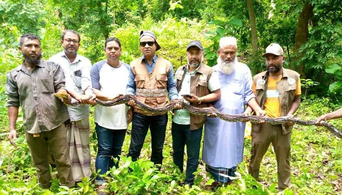 কাপ্তাইয়ে ১৮ ফুট দৈর্ঘ্যের অজগর উদ্ধার