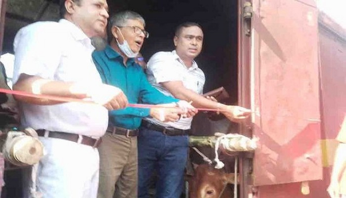 চাঁপাই থেকে ট্রেনে ঢাকায় কোরবানির ২৩ পশু চাঁপাই থেকে ট্রেনে ঢাকায় কোরবানির ২৩ পশু