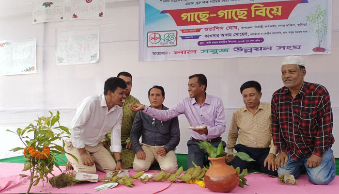 কুমিল্লায় গাছে গাছে বিয়ে!