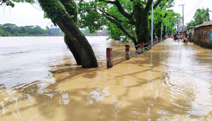 বাড়ি ফিরে হতাশ হয়ে ফের আশ্রয়কেন্দ্রে
