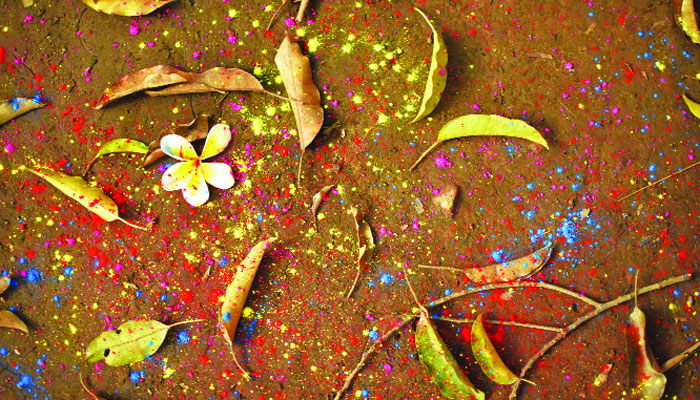 হয়তো এক নিমগ্ন আনুভূমিক অন্তরঙ্গতার বাসনা