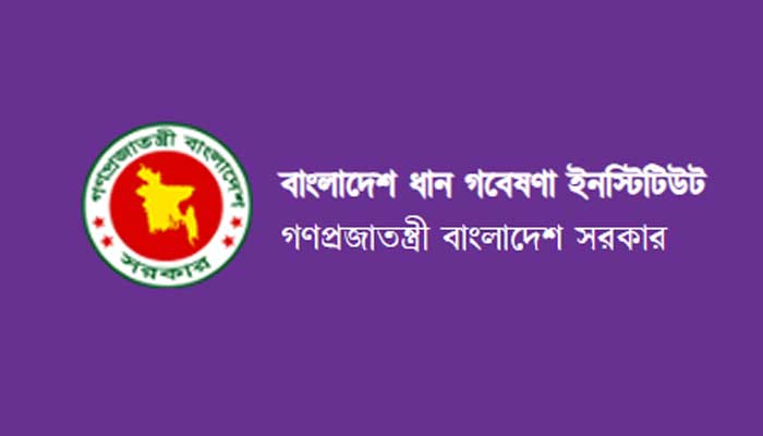 বাংলাদেশ ধান গবেষণা ইনস্টিটিউটে ৫২ জনের চাকরির সুযোগ