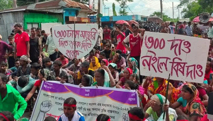 জেলা প্রশাসকের আহবানে সাড়া দেয়নি মৌলভীবাজারের চা শ্রমিকরা জেলা প্রশাসকের আহবানে সাড়া দেয়নি মৌলভীবাজারের চা শ্রমিকরা