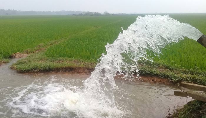 গ্রামাঞ্চলে মধ্যরাত থেকে ভোর পর্যন্ত বিদ্যুৎ নিশ্চিত করার নির্দেশ গ্রামাঞ্চলে মধ্যরাত থেকে ভোর পর্যন্ত বিদ্যুৎ নিশ্চিত করার নির্দেশ