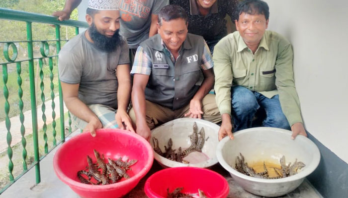 সুন্দরবনের করমজলে পিলপিলের ডিমে ৩৮ বাচ্চা