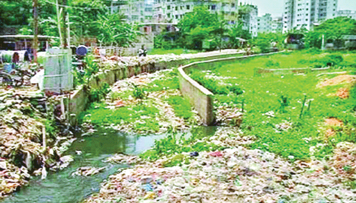 তিন মাসেই ফের ভাগাড় ঢাকা দক্ষিণের ১২ খাল