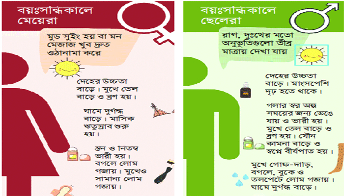 বয়ঃসন্ধিকাল