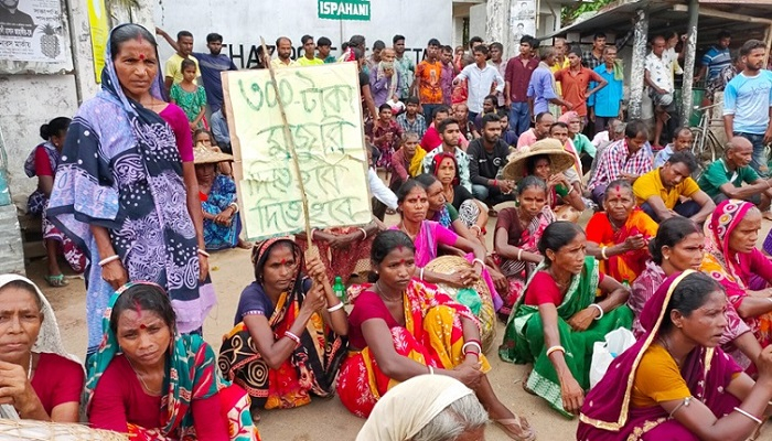 চা-শ্রমিকদের নতুন মজুরি ১৪৫ টাকা, ধর্মঘট প্রত্যাহার