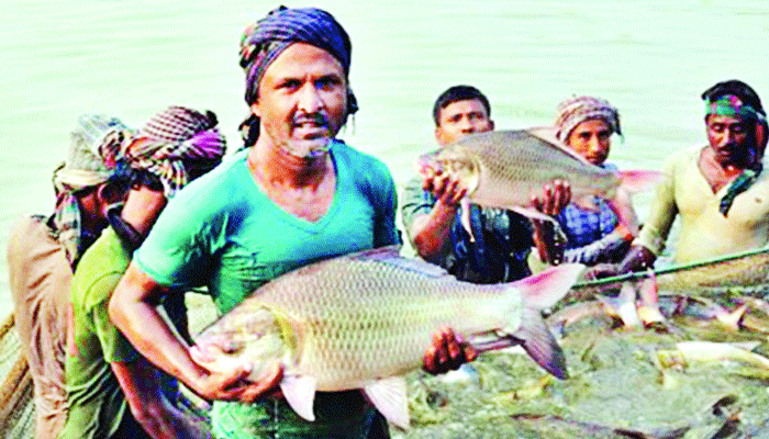 প্রযুক্তির বিকাশে কৃষি খাত প্রযুক্তির বিকাশে কৃষি খাত