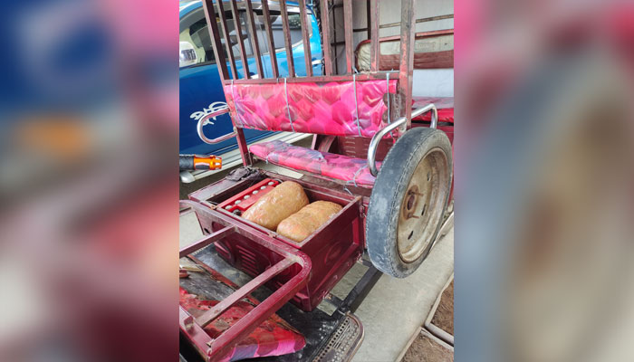 নাগেশ্বরীতে ১৫ কেজি গাঁজাসহ আটক ১ নাগেশ্বরীতে ১৫ কেজি গাঁজাসহ আটক ১