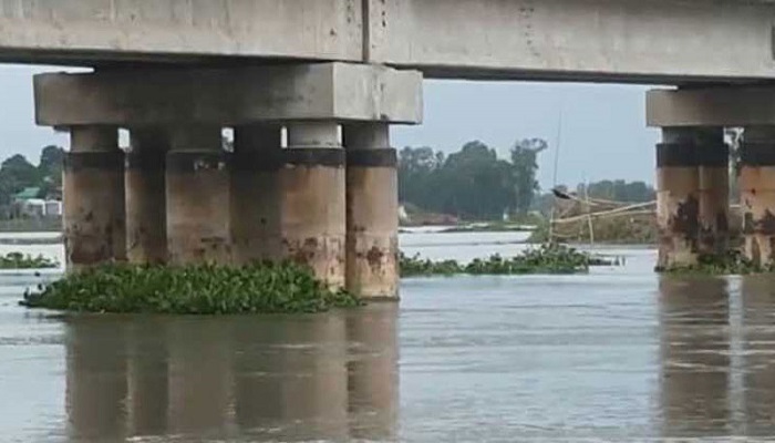সেতুর পিলারে ধাক্কা লেগে ডুবল বাল্কহেড সেতুর পিলারে ধাক্কা লেগে ডুবল বাল্কহেড