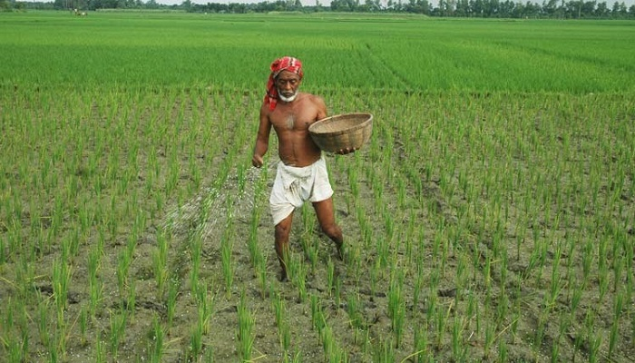 এক লাখ টন সার কিনছে সরকার