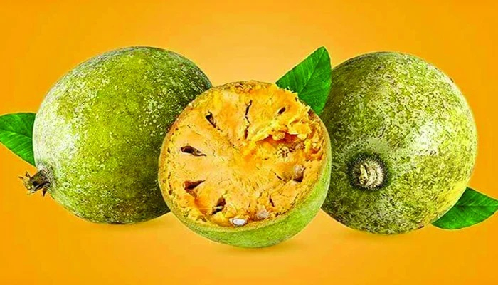 রোগ প্রতিরোধ করবে বেল