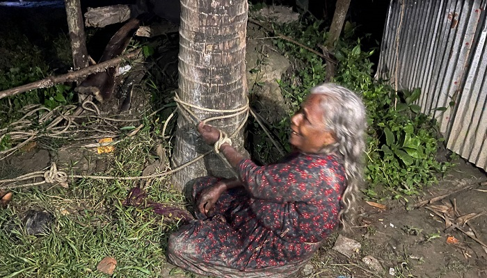 বৃদ্ধাকে গাছে বেঁধে নির্যাতনের অভিযোগ দুই যুবকের বিরুদ্ধে