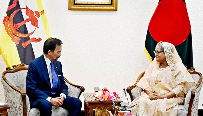 ব্রুনাই চায় মাছ-মাংস, বাংলাদেশের চাহিদা জ্বালানি