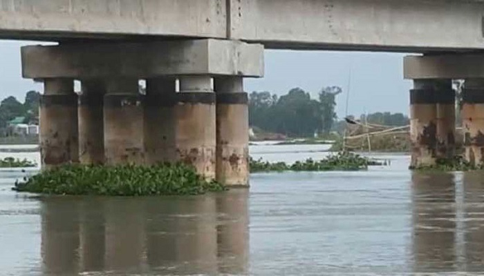 সেতুর পিলারে ধাক্কা লেগে ডুবল বাল্কহেড