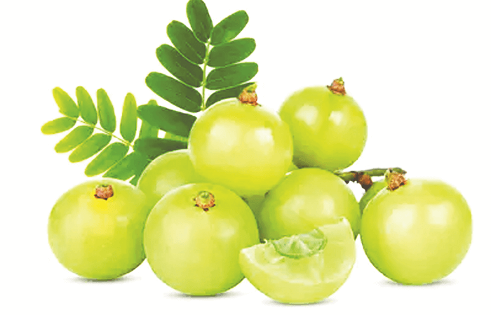 গুণে ভরা আমলকী গুণে ভরা আমলকী