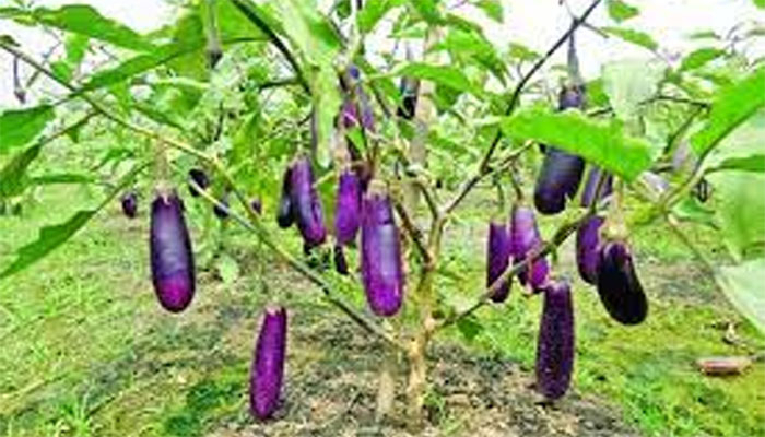 সংবাদমাধ্যমে বিজ্ঞান আলোচনার সতর্কতা ও শিষ্টাচার সংবাদমাধ্যমে বিজ্ঞান আলোচনার সতর্কতা ও শিষ্টাচার