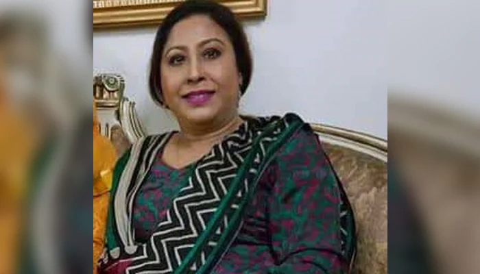 বিএনপি মহিলা দলের সম্পাদক সুলতানা রিমান্ডে