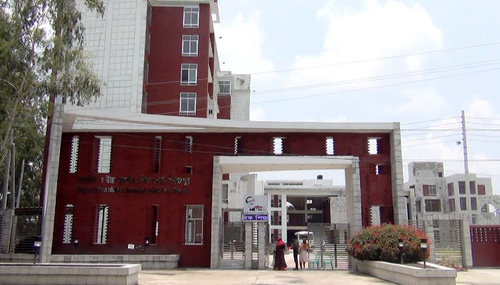 বছরের পর বছর একই কর্মস্থলে ৭ কর্মকর্তা