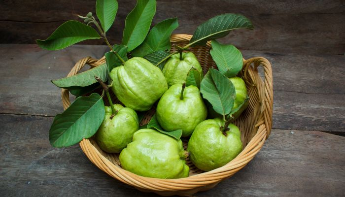 ডায়াবেটিস প্রতিরোধে পেয়ারা