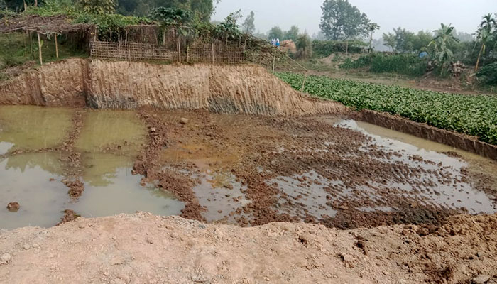 নদীর বাঁধ কেটে ইটভাটায় মাটি বিক্রি